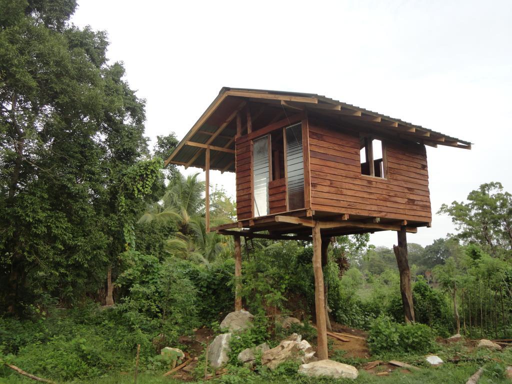 Sigiri Forest View Sigiriya Habitación foto